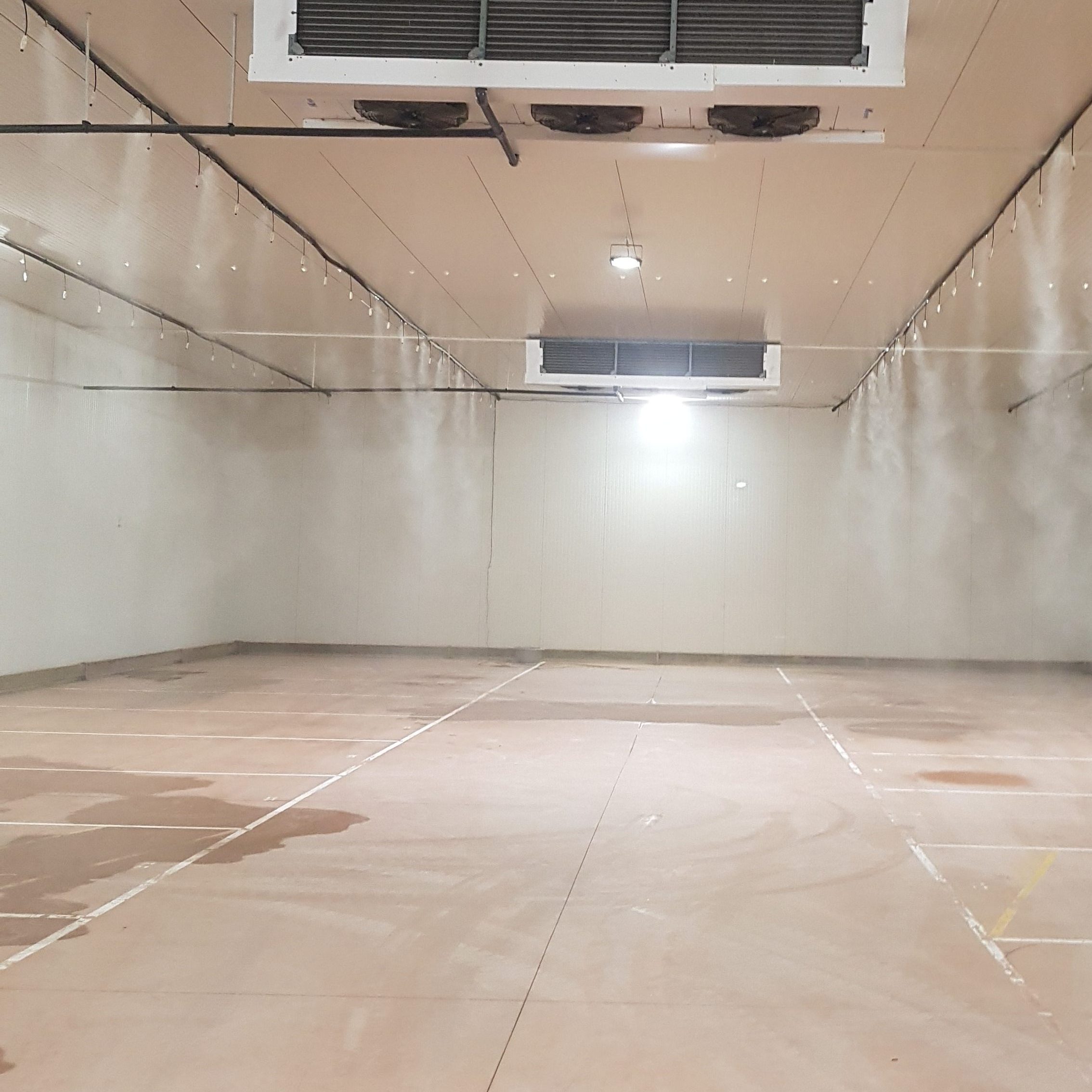 CLIMEXT PELIGRO AGRIFOOD