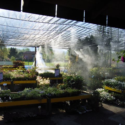 Climext neblina agrícola