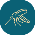 Picto _ Mosquito Climext Brumization Spaces Public