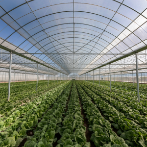 rendement agricole - brumisation agricole climext