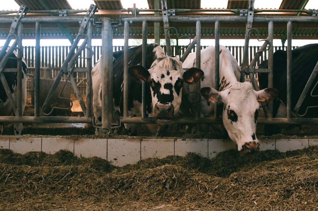 brumisation agricole - qualité de l'air